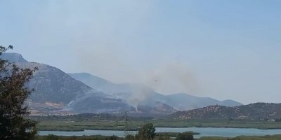Selçuk’taki orman yangını kontrol altında