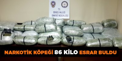 Narkotik köpeği 86 kilo esrar buldu