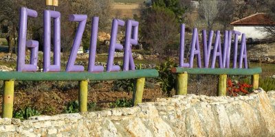 Gözler, Gözler Lavanta Bahçelerinde...