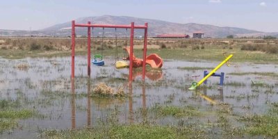 Bakımsız kalan kanallar merayı bataklığa çevirdi