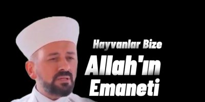 İslam Dinine Göre Hayvan Hakları
