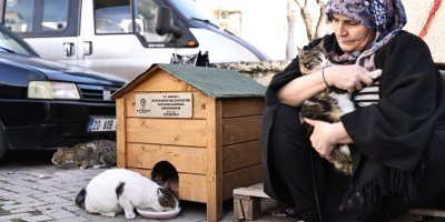 Hayvanseverler istedi, Başkan Çavuşoğlu sözünü tuttu