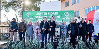 46 BİN ZEYTİN FİDANI DAĞITIMI BAŞLADI
