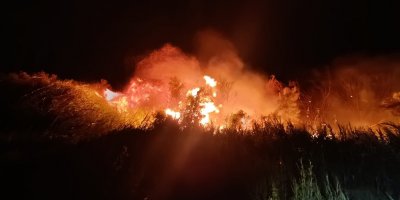 İzmir'de yangınlar sürüyor