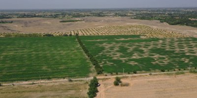 1000 dönümlük taşlık alan 8 yılda tarım arazisine dönüştürüldü