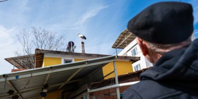 'Yaren Leylek'ten önce eşi geldi