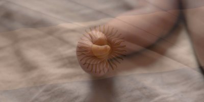 TÜM LİNKLER DOFOLLOW OLMALIDIR. NOFOLLOW LİNKLER İÇİN İADE TALEP EDİLECEKTİR. 