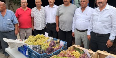 AVŞAR ÜZÜMÜ TESCİLLENDİ