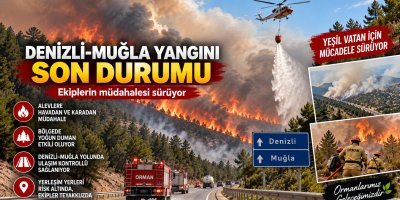 Denizli-Muğla Yolundaki Yangın Kontrol Altında