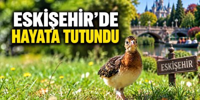 MİĞFERLİ HOKKO, ESKİŞEHİR’DE HAYATA TUTUNDU 