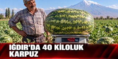 Iğdır’da 40 Kiloluk Karpuz İlgi Odağı Oldu