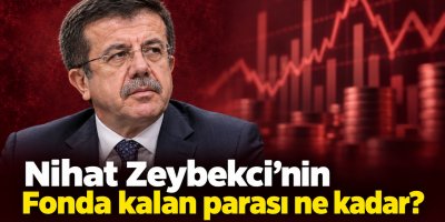 Zeybekci'nin fonda ne kadar parasının kaldığı ortaya çıktı