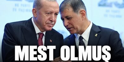 Tugay, Erdoğan'ın o sözlerine 'mest' olmuş!