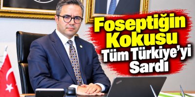 Tüm memleketi foseptiğin ağır kokusu sardı
