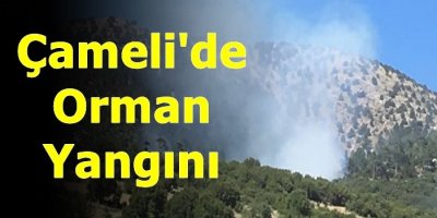 Çameli'de Orman Yangını