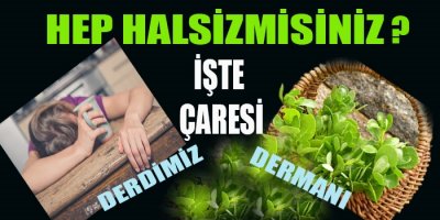 Semizotu Halsizliğe İyi Geliyor