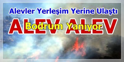 Bodrum Alev Alev Yanıyor