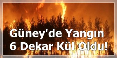 Güney'de Yangın 6 Dekar Kül Oldu!