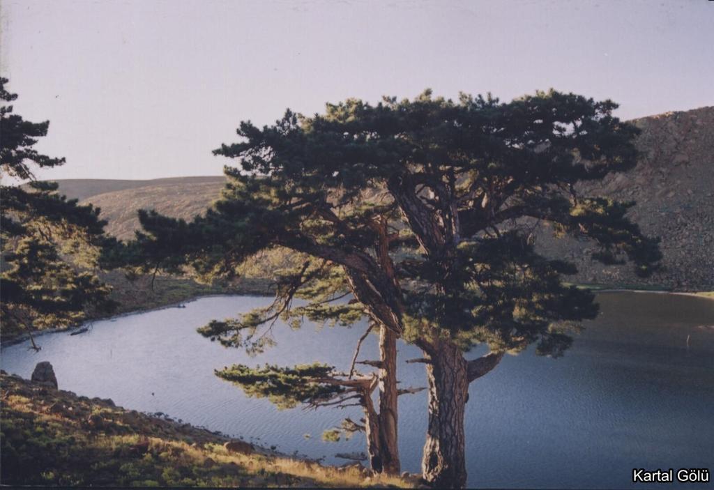 17-001.jpg