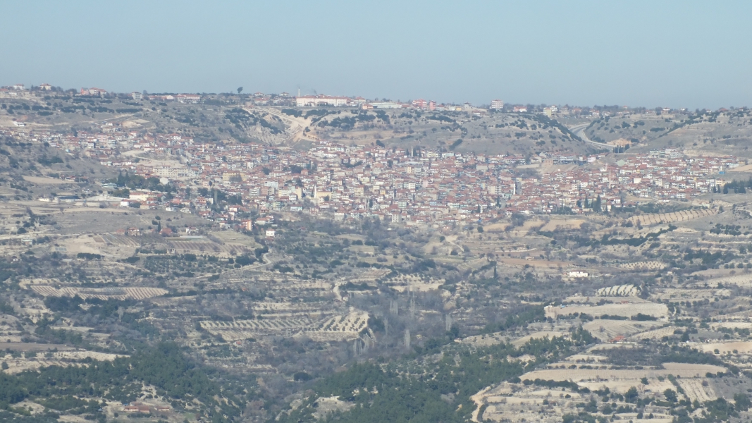 2-006.jpg