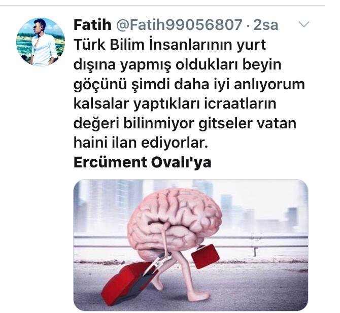 7-002.jpg