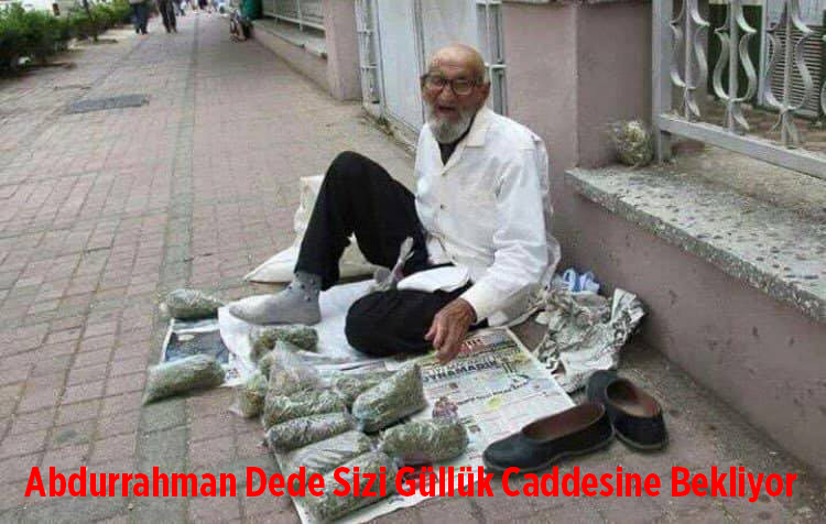 cal-belediyesi,-aromatik-bitki,-kurs.png
