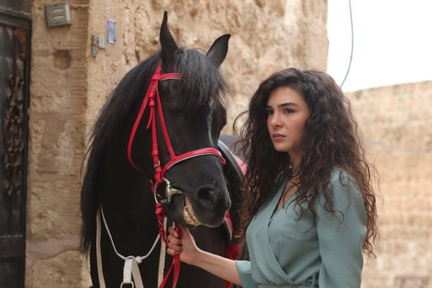 hercai10.jpg