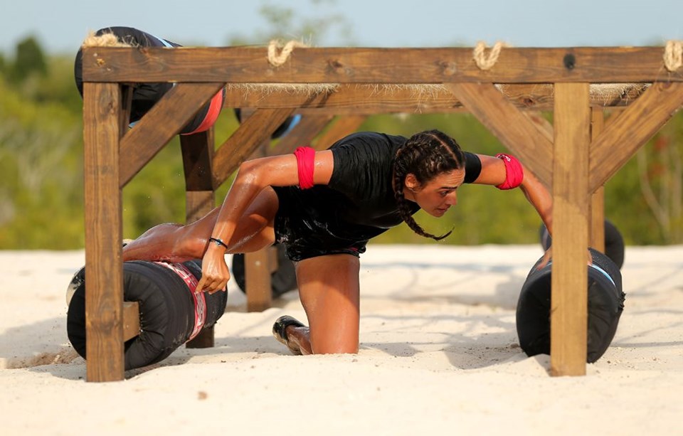 Survivor 2019