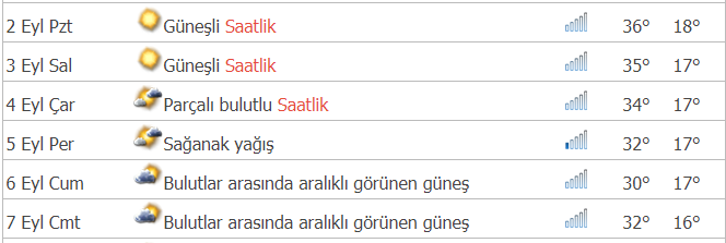 sdsf-001.png