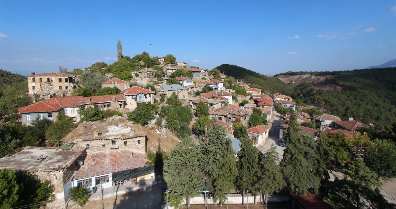 thumbnail-1-004.jpg