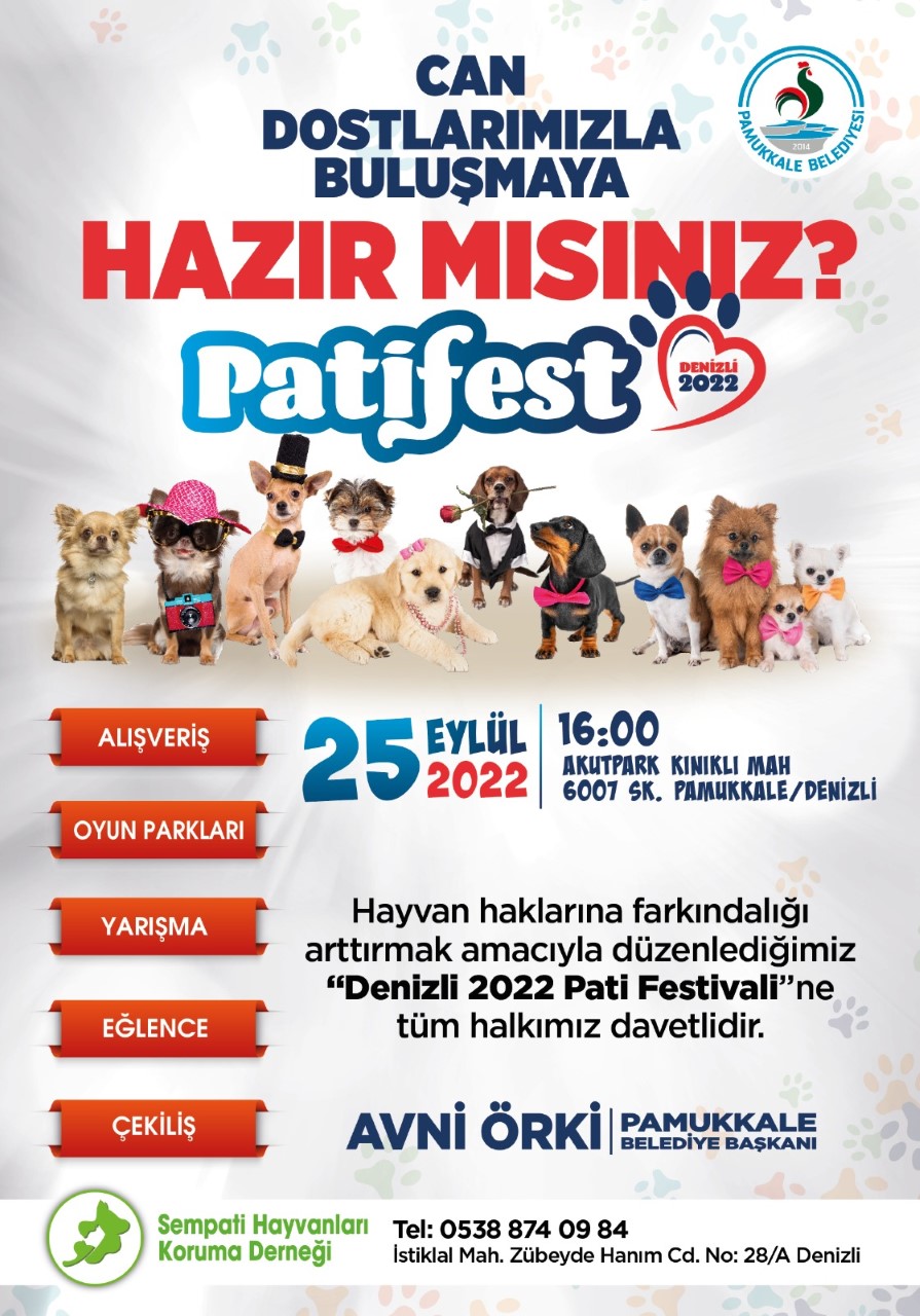 thumbnail-patifest-2022-1.jpg