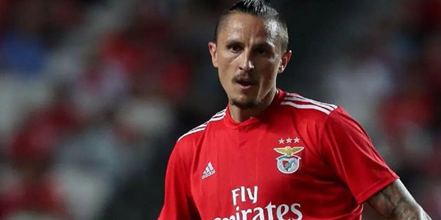 Fenerbahçe transferi Ljubomir Fejsa kimdir?